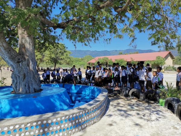 PEMSEA in 2019: the Green School Program in Timor-Leste | PEMSEA